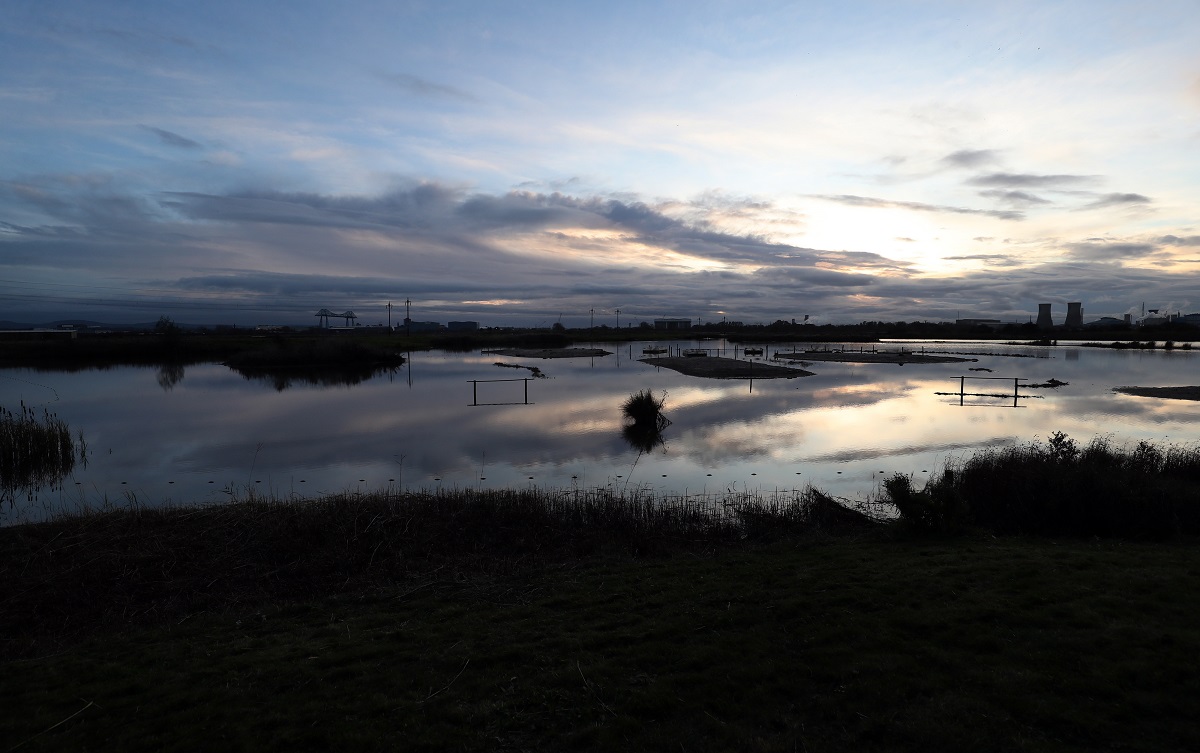 Wildlife, industry, community - Teesside project to protect all three ...