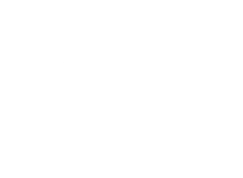 Bolton lead logo